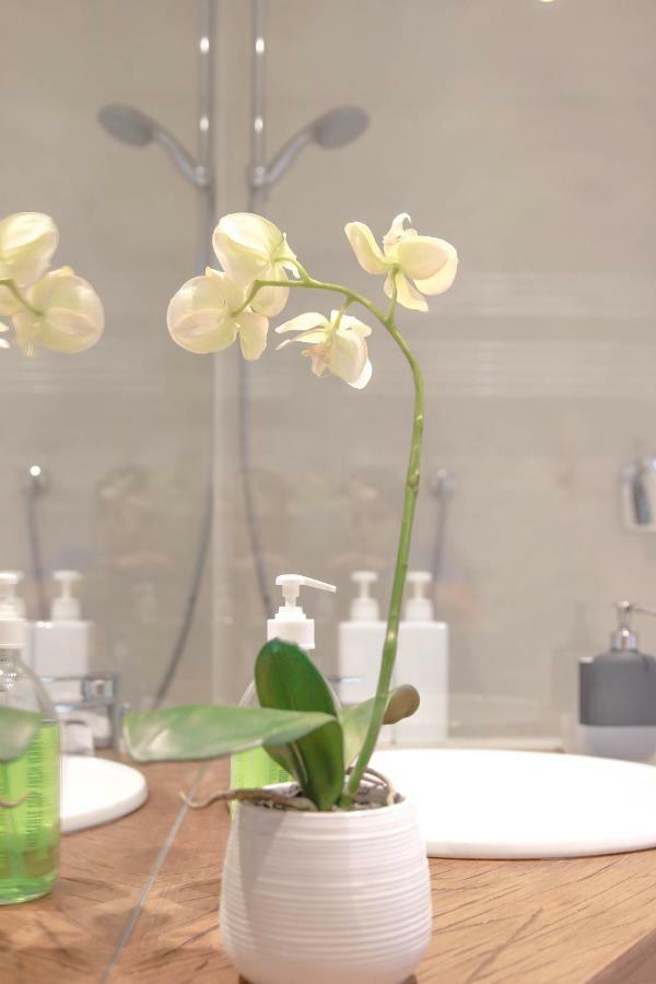 Design Apartment Porta Venezia ミラノ エクステリア 写真